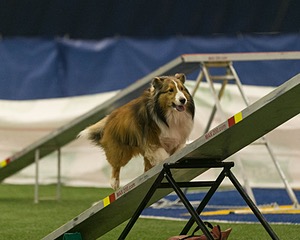 20150321-LEAP-1389.jpg