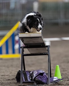 Breeze Schunk