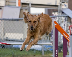 20230916-PVKC-1731.jpg