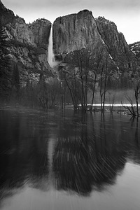 20170209-0023.jpg