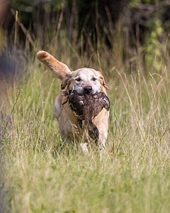 Nyx Rowland
