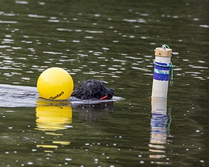 20210912-MWD-0227.jpg