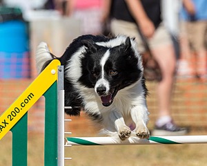 20160619-CCKC-1790.jpg