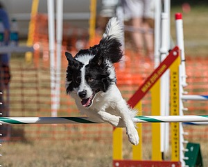 20160618-CCKC-2322.jpg