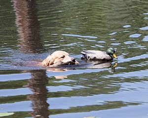 20130602-SEAW-0451.jpg