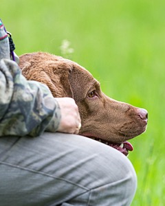 Hunter Law