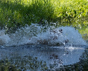20220604-SHW-1982.jpg