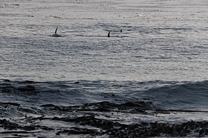 20191218-0076.jpg