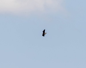 20190803-C-0016.jpg