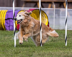 20230917-PVKC-2823.jpg