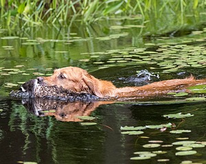 20170604-SEAW-0026.jpg