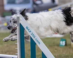 20230917-PVKC-2819.jpg