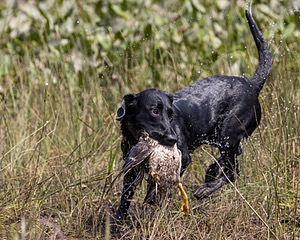 20210807-SHW-0101.jpg