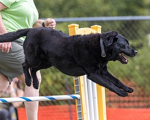 20200819-1125.jpg