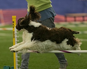 20150321-LEAP-1320.jpg