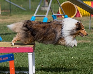 20200819-0663.jpg