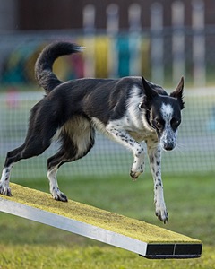 20220918-PVKC-3226.jpg