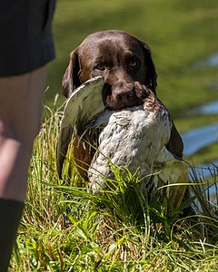 Gunny Fisher