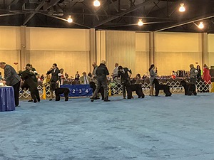 20190111-ASC-0022.jpg