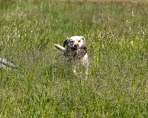 20210606-SEAL-1388.jpg