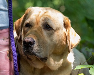 20160717-C-0016.jpg