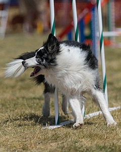 20150614-CCKC-1815.jpg