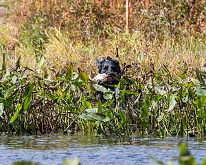 20160924-SHW-0054.jpg