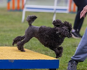 20230916-PVKC-0121.jpg