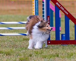 20190616-CCKC-0043.jpg