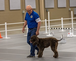 700 - GCH Blackthorn’s Lass That Loves A Sailor in Wicklow CD RM CGC