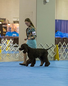 10 - Poole's Ide Touch Of Mink (Darla)