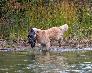 20161008-WCXW-0016.jpg