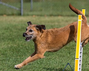 20200819-0755.jpg
