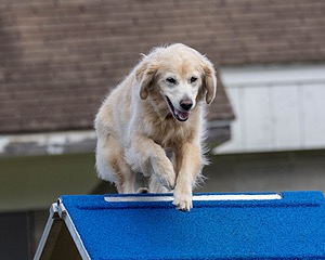 20230917-PVKC-2862.jpg