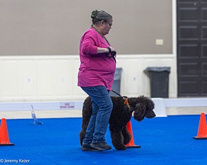 R10 - BALLYHOO'S V FINNEGAN MCNEILL BN FDC CA BCAT DS DJ CGCA TKN VHMA