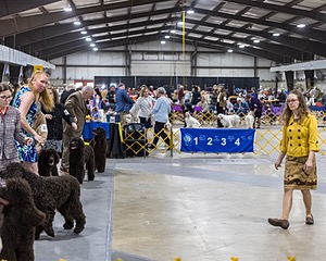 20260228-0067.jpg