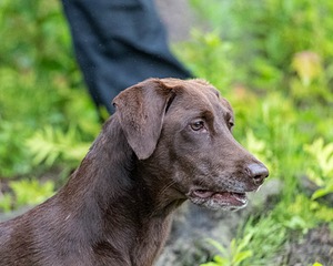 20210725-SHW-0005.jpg