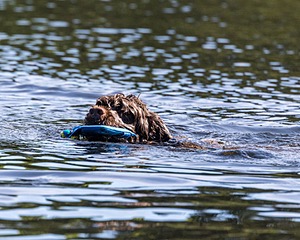 Smudge Lefebvre