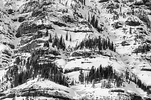 20220204-0523.jpg