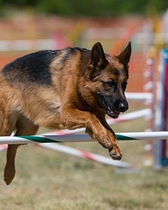 20150614-CCKC-1792.jpg