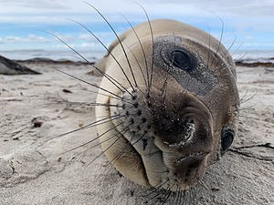 20191217-0649.jpg