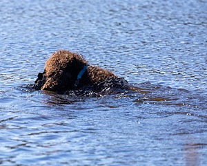 Ghillie Kezer