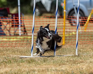 20160619-CCKC-1049.jpg