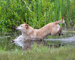 20130713-MHB2-0033.jpg