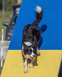 20230917-PVKC-2047.jpg