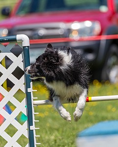 20170520-NEAT-1146.jpg