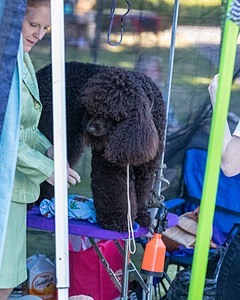 20210828-C-0018.jpg
