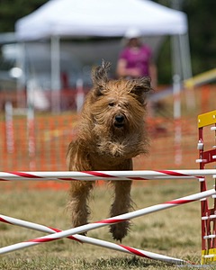 20150614-CCKC-1771.jpg