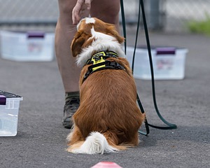 20260718-NSKC-0369.jpg