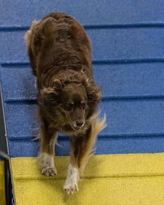 Cadence McLoughliin